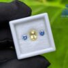 Ceylon-Natural-Yellow-Sapphire-Blue-Pair-for-Jewelry-Designs