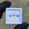 Ceylon-Natural-Yellow-Sapphire-Blue-Pair-for-Jewelry-Designs
