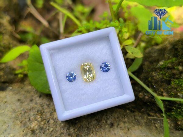 Ceylon-Natural-Yellow-Sapphire-Blue-Pair-for-Jewelry-Designs