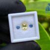 Ceylon-Natural-Yellow-Sapphire-Blue-Pair-for-Jewelry-Designs