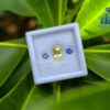 Ceylon-Natural-Yellow-Sapphire-Blue-Pair-for-Jewelry-Designs