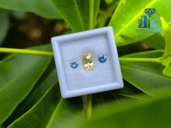 Ceylon-Natural-Yellow-Sapphire-Blue-Pair-for-Jewelry-Designs