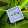 Ceylon-Natural-Yellow-Sapphire-Blue-Pair-for-Jewelry-Designs