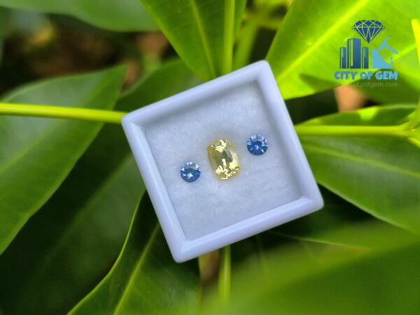 Ceylon-Natural-Yellow-Sapphire-Blue-Pair-for-Jewelry-Designs