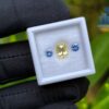 Ceylon-Natural-Yellow-Sapphire-Blue-Pair-for-Jewelry-Designs
