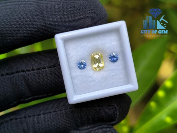 Ceylon-Natural-Yellow-Sapphire-Blue-Pair-for-Jewelry-Designs