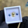 Ceylon-Natural-Yellow-Sapphire-Blue-Pair-for-Jewelry-Designs