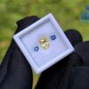 Ceylon-Natural-Yellow-Sapphire-Blue-Pair-for-Jewelry-Designs