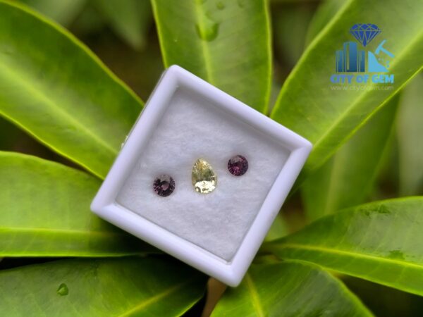 Yellow Sapphire & Spinel Pair for Jewelry Designs