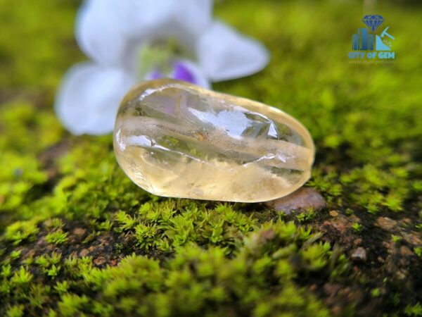 Ancient Natural Yellow Sapphire Mukkaru Bead from Ancient Galpaya Village