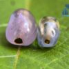 Ancient Natural Blue & Violet Sapphire Mukkaru Bead from Ancient Galpaya Village