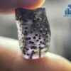 Ancient Natural Purple Spinel Mukkaru Bead with multiple Drill Holes from Ancient Galpaya Village