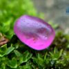 Facet Grade Ceylon Natural Blue Sapphire & Hot Pink Sapphire Alluvial Rough Couple