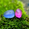 Facet Grade Ceylon Natural Blue Sapphire & Hot Pink Sapphire Alluvial Rough Couple