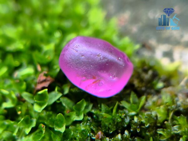 Facet Grade Ceylon Natural Blue Sapphire & Hot Pink Sapphire Alluvial Rough Couple