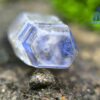 Ceylon Natural Bi-color Sapphire Complete Crystal