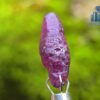 Ceylon Natural Ruby Crystal
