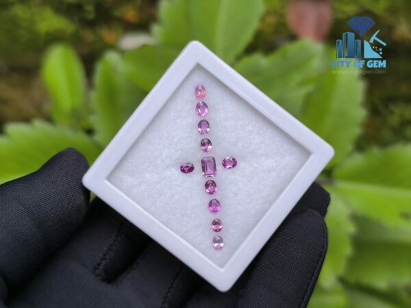 Ceylon Natural Pink Color Range Sapphire collection for Jewelry Designs