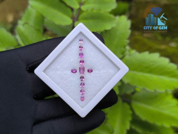 Ceylon Natural Pink Color Range Sapphire collection for Jewelry Designs