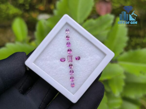 Ceylon Natural Pink Color Range Sapphire collection for Jewelry Designs