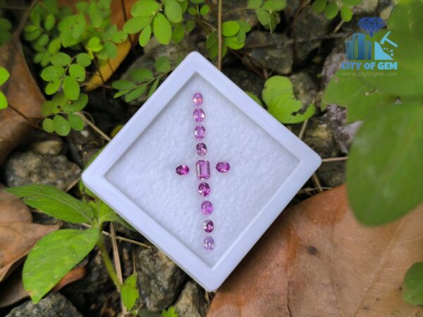 Ceylon Natural Pink Color Range Sapphire collection for Jewelry Designs