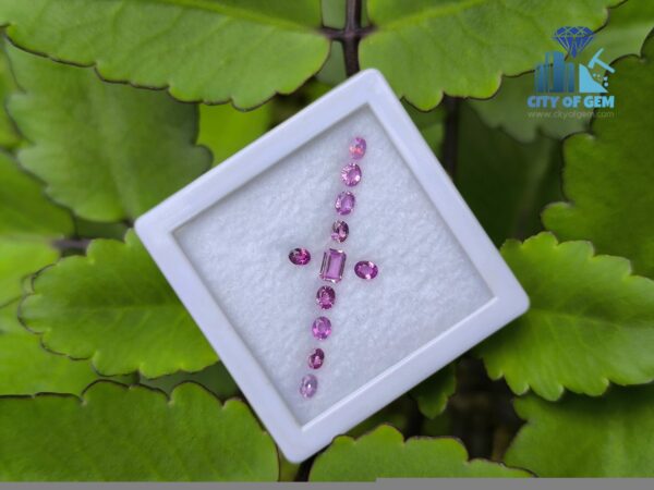 Ceylon Natural Pink Color Range Sapphire collection for Jewelry Designs