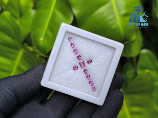 Ceylon Natural Pink Color Range Sapphire collection for Jewelry Designs