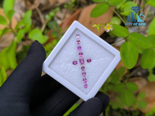 Ceylon Natural Pink Color Range Sapphire collection for Jewelry Designs