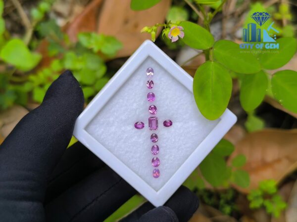 Ceylon Natural Pink Color Range Sapphire collection for Jewelry Designs