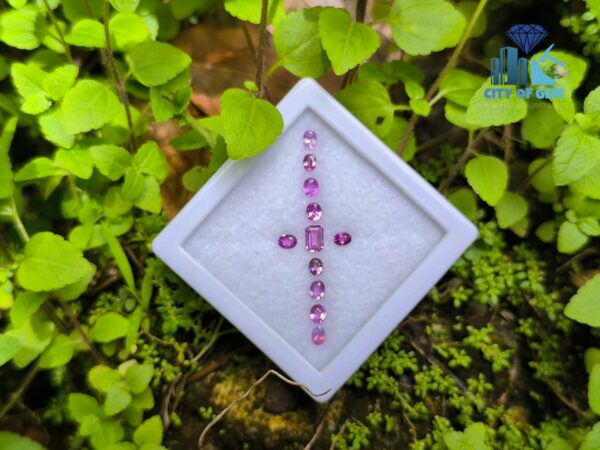 Ceylon Natural Pink Color Range Sapphire collection for Jewelry Designs