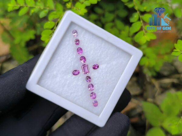 Ceylon Natural Pink Color Range Sapphire collection for Jewelry Designs