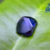 Ceylon Rambuka Vivid Royal Blue Sapphire