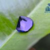 Ceylon Rambuka Vivid Royal Blue Sapphire