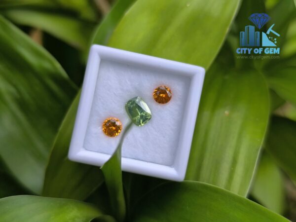 Garnet Pair & Zircon Stone for Jewelry Designs