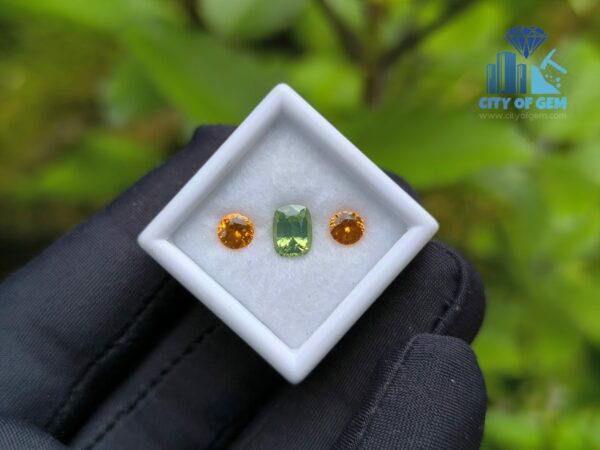 Garnet Pair & Zircon Stone for Jewelry Designs