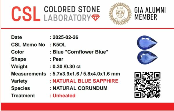 Ceylon Natural Blue Sapphire and Pink Sapphire Earrings Set