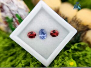 Ceylon Natural Blue Sapphire  Oval and Red Garnet Pair for Jewellery Design