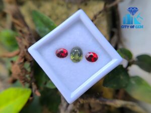 Ceylon Natural Green Zircon & Orangy Red Garnet Pair for Jewellery Design