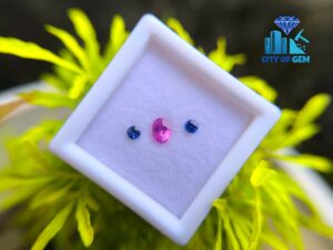 Ceylon Natural Pink Sapphire & Blue Sapphire Pair for Jewelry Designs