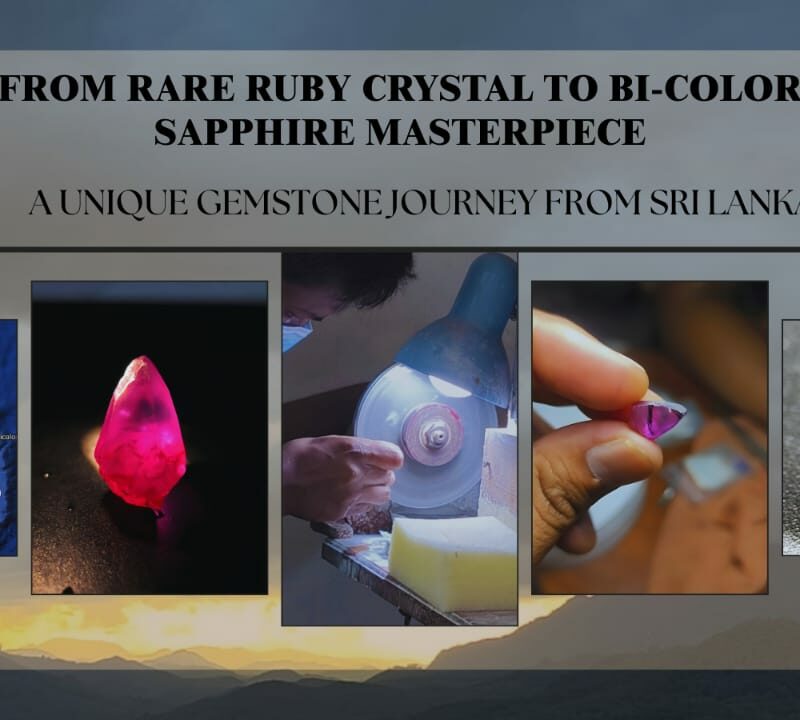 From Rare Ruby Crystal to Bi-Color Sapphire Masterpiece: A Unique Gemstone Journey from Sri Lanka