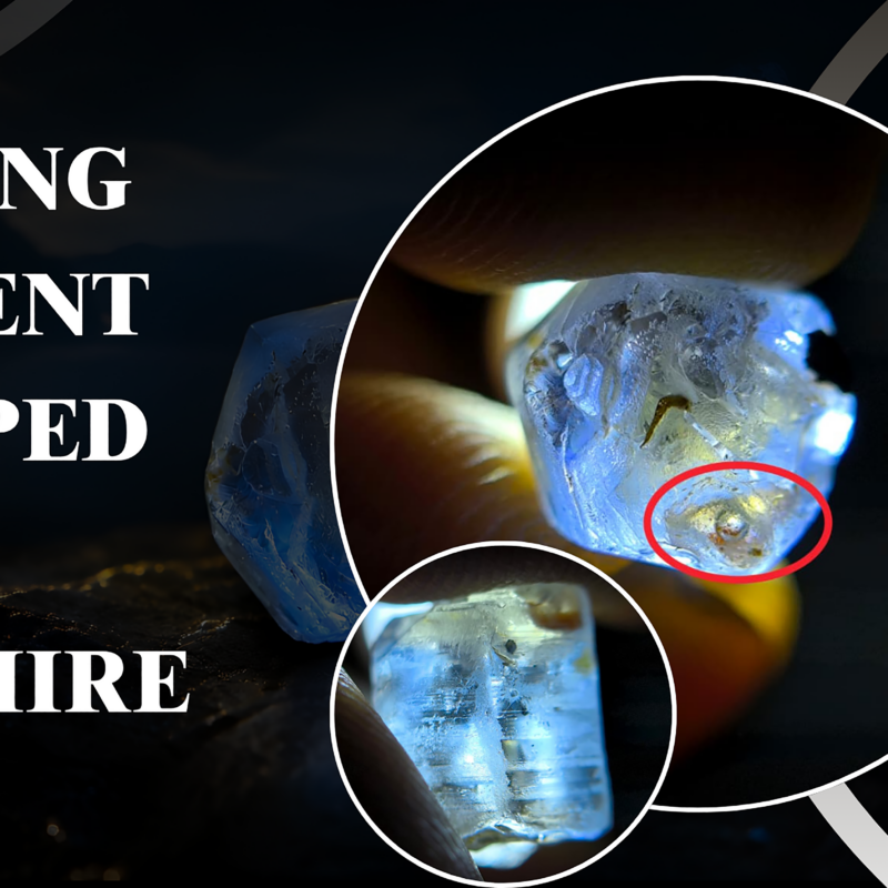 A Living Moment Trapped in Sapphire for Millions of Years